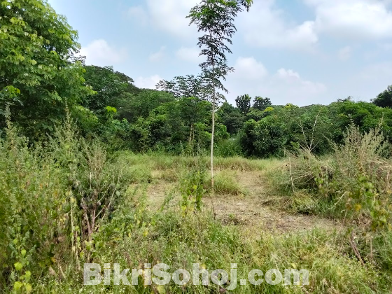 কলাতিয়া ব্রিজের কাছে ১৩ শতাংশ বিক্রয়